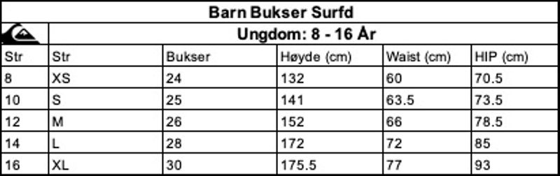 Quiksilver City Block Volley 15 - Swim Shorts for Youth 8-16year