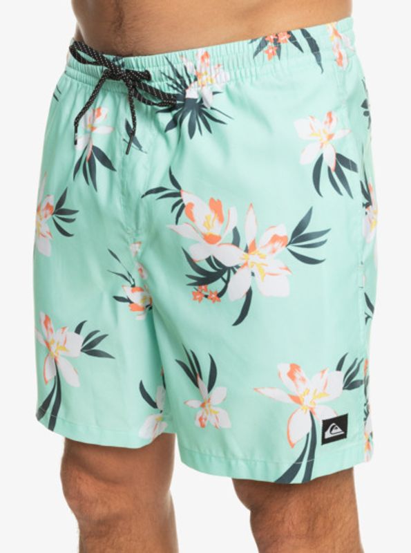 Quiksilver Everyday Mix 17