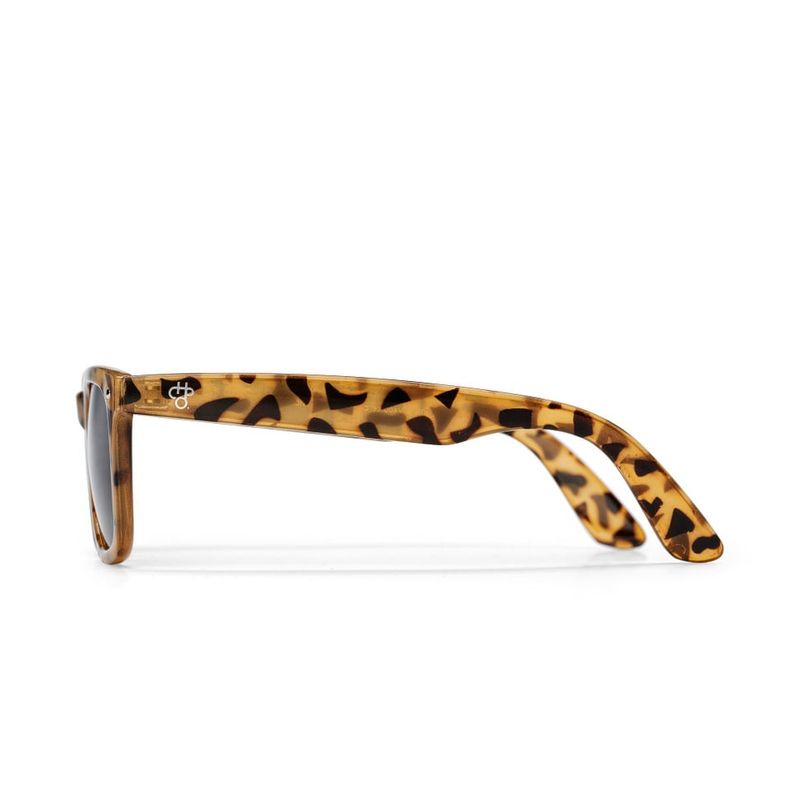 CHPO Solbriller Noway